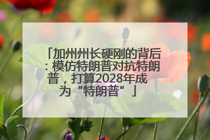 加州州长硬刚的背后：模仿特朗普对抗特朗普，打算2028年成为“特朗普”