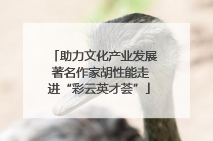 助力文化产业发展 著名作家胡性能走进“彩云英才荟”