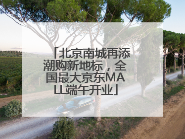 北京南城再添潮购新地标，全国最大京东MALL端午开业