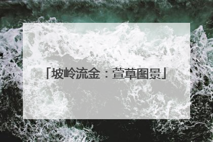 坡岭流金：萱草图景