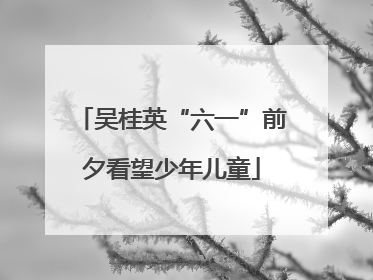 吴桂英“六一”前夕看望少年儿童