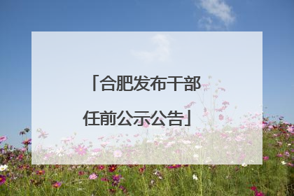 合肥发布干部任前公示公告
