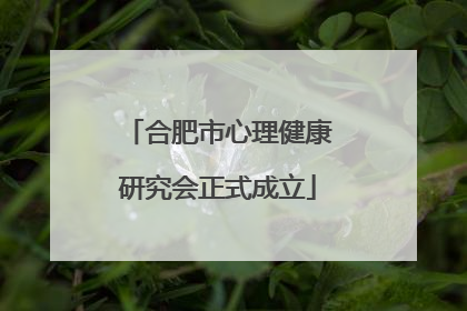 合肥市心理健康研究会正式成立