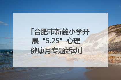 合肥市新麓小学开展“5.25”心理健康月专题活动