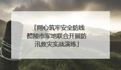 同心筑牢安全防线 醴陵市军地联合开展防汛救灾实战演练