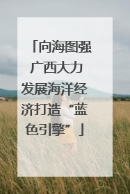 向海图强 广西大力发展海洋经济打造“蓝色引擎”