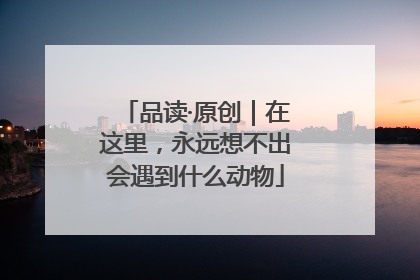 品读·原创｜在这里，永远想不出会遇到什么动物