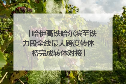 哈伊高铁哈尔滨至铁力段全线最大跨度转体桥完成转体对接