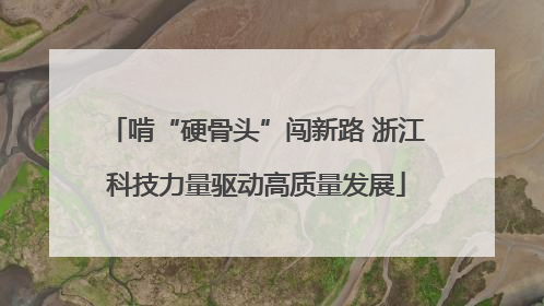 啃“硬骨头”闯新路 浙江科技力量驱动高质量发展