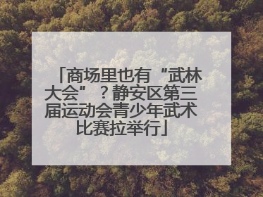 商场里也有“武林大会”？静安区第三届运动会青少年武术比赛拉举行