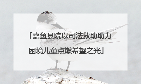 嘉鱼县院以司法救助助力困境儿童点燃希望之光