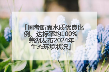 国考断面水质优良比例、达标率均100% 芜湖发布2024年生态环境状况