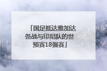 国足抵达雅加达备战与印尼队的世预赛18强赛
