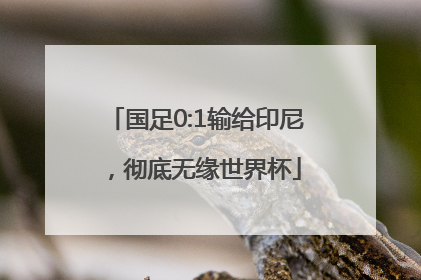 国足0:1输给印尼，彻底无缘世界杯