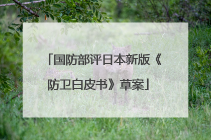 国防部评日本新版《防卫白皮书》草案