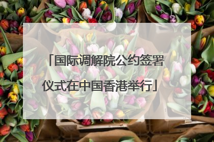 国际调解院公约签署仪式在中国香港举行