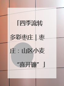 四季流转 多彩枣庄｜枣庄：山区小麦“喜开镰”