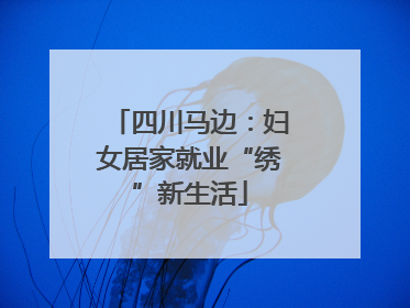 四川马边：妇女居家就业“绣”新生活