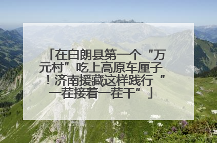 在白朗县第一个“万元村”吃上高原车厘子！济南援藏这样践行“一茬接着一茬干”