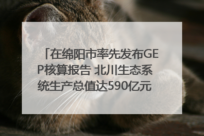 在绵阳市率先发布GEP核算报告 北川生态系统生产总值达590亿元｜新闻发布最前线