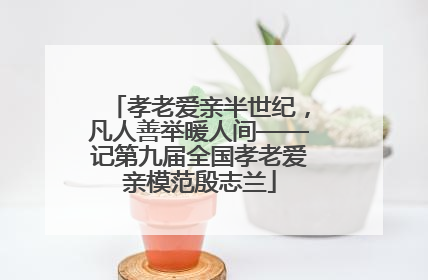 孝老爱亲半世纪，凡人善举暖人间——记第九届全国孝老爱亲模范殷志兰