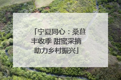 宁夏同心：桑葚丰收季 甜蜜采摘助力乡村振兴