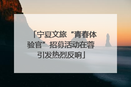宁夏文旅“青春体验官”招募活动在蓉引发热烈反响