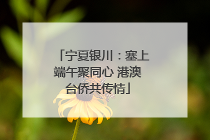 宁夏银川：塞上端午聚同心 港澳台侨共传情