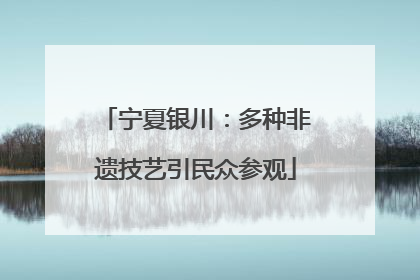 宁夏银川：多种非遗技艺引民众参观