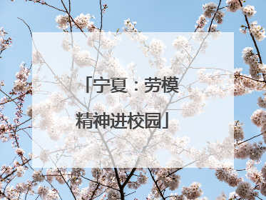 宁夏：劳模精神进校园
