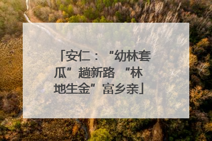 安仁：“幼林套瓜”趟新路 “林地生金”富乡亲