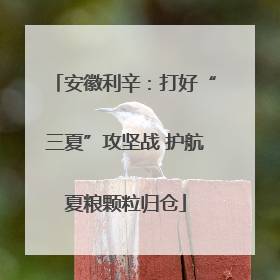 安徽利辛：打好“三夏”攻坚战 护航夏粮颗粒归仓