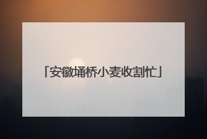 安徽埇桥小麦收割忙