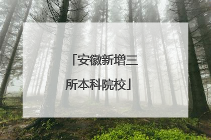 安徽新增三所本科院校