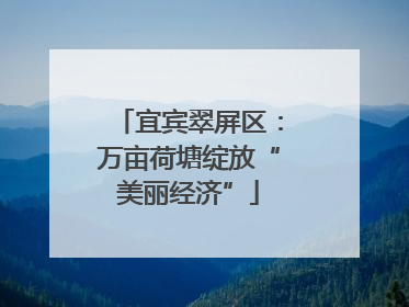 宜宾翠屏区：万亩荷塘绽放“美丽经济”
