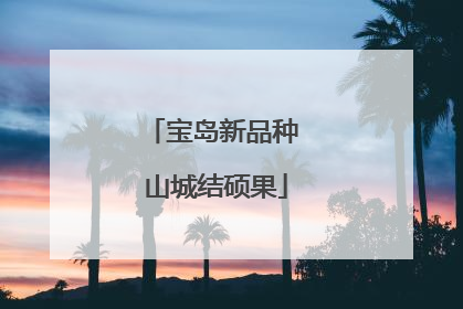 宝岛新品种 山城结硕果
