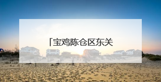 宝鸡陈仓区东关街道南阳村：大棚经济结硕果 绘就乡村振兴新图景