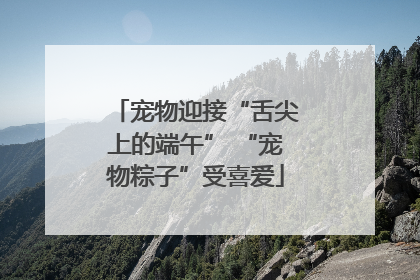 宠物迎接“舌尖上的端午” “宠物粽子”受喜爱