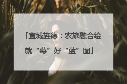 宣城旌德：农旅融合绘就“莓”好“蓝”图