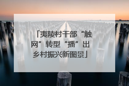夷陵村干部“触网”转型“播”出乡村振兴新图景