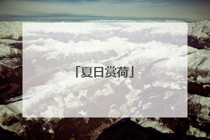 夏日赏荷