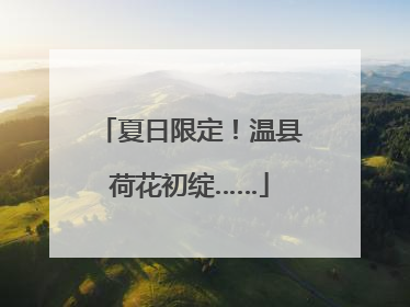 夏日限定！温县荷花初绽……