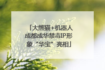 大熊猫+机器人 成都成华禁毒IP形象“华宝”亮相