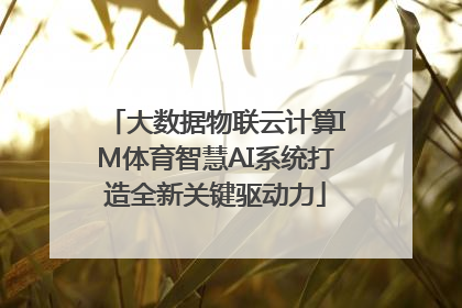 大数据物联云计算IM体育智慧AI系统打造全新关键驱动力