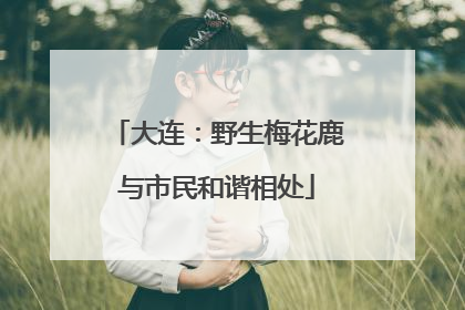 大连：野生梅花鹿与市民和谐相处