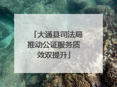 大通县司法局推动公证服务质效双提升