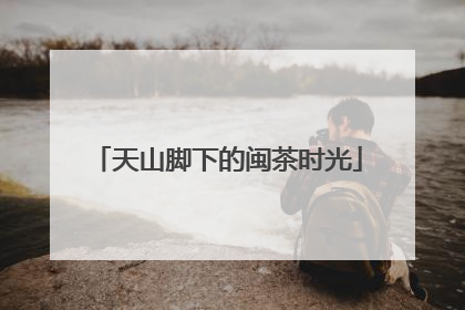天山脚下的闽茶时光