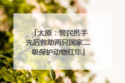太原：警民携手 先后救助两只国家二级保护动物红隼