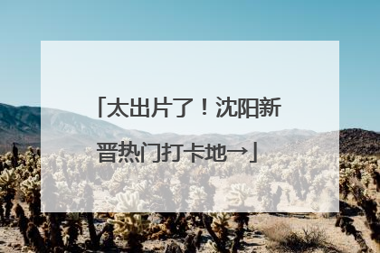 太出片了！沈阳新晋热门打卡地→
