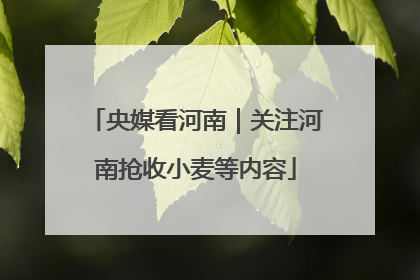 央媒看河南｜关注河南抢收小麦等内容